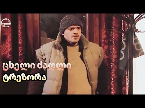 ცხელი ძაღლი - ტრეზორას საუკეთესო მომენტები (HD)